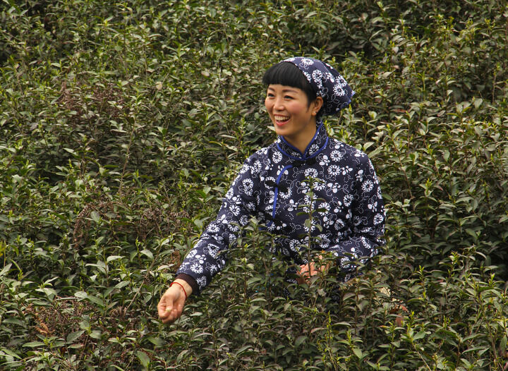 梦连直播热门11